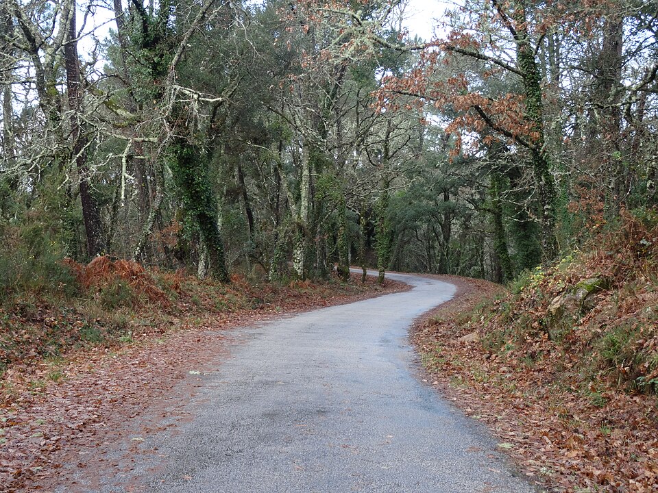 Foto 3 — Cartelle, Ourense (32020)