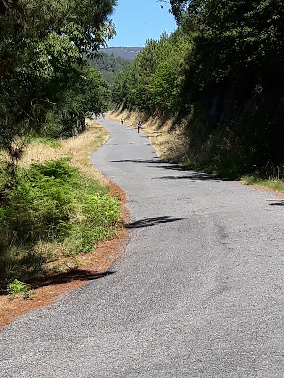 Foto 3 — Laza, Ourense (32039)