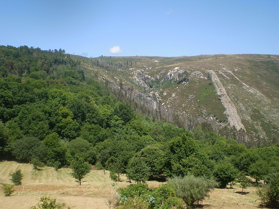 Foto 3 — Melón, Ourense (32046)
