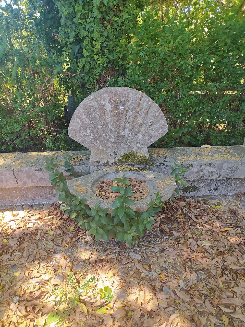 Foto 2 — Nogueira de Ramuín, Ourense (32052)