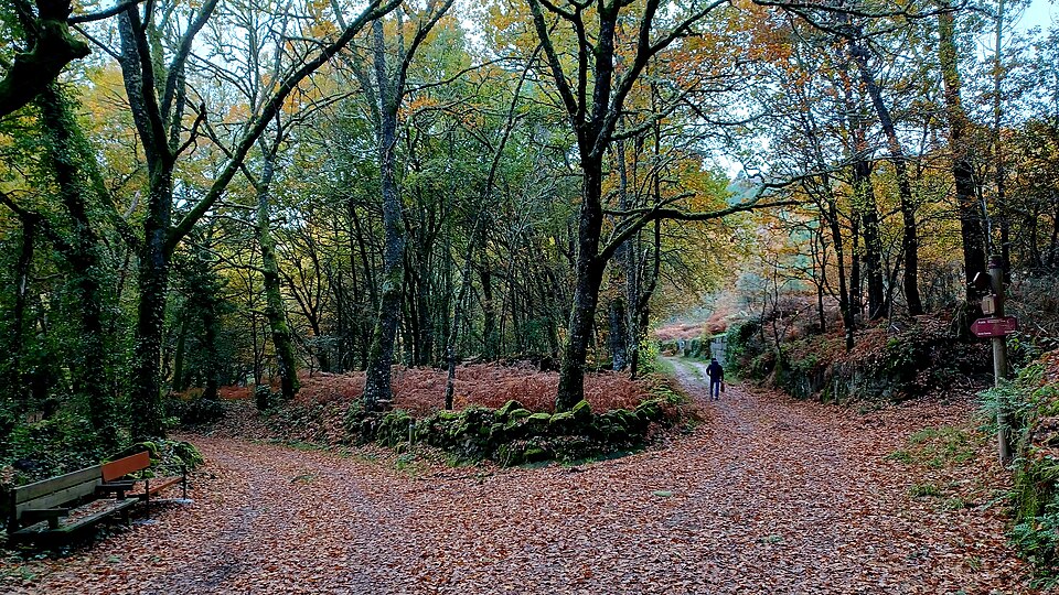 Foto 3 — Rairiz de Veiga, Ourense (32067)