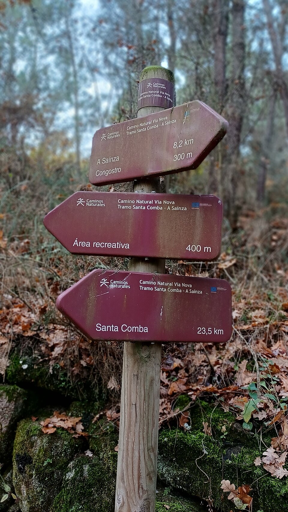 Foto 4 — Rairiz de Veiga, Ourense (32067)