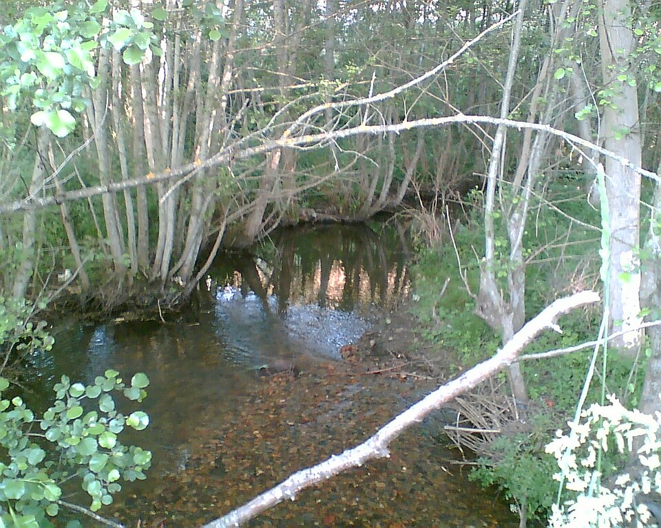 Foto 1 — Rubiá, Ourense (32073)