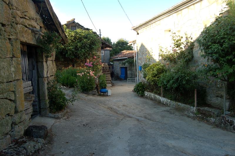 Vista de Verea, Ourense (32084)