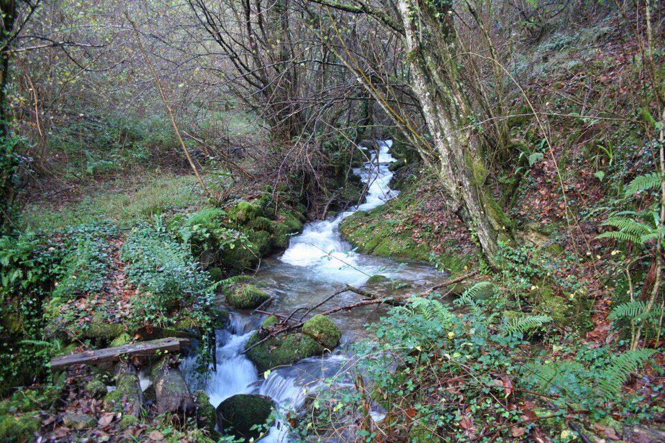 Foto 5 — Belmonte de Miranda, Asturias (33005)