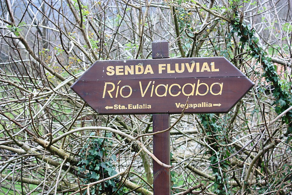 Foto 3 — Cabranes, Asturias (33009)