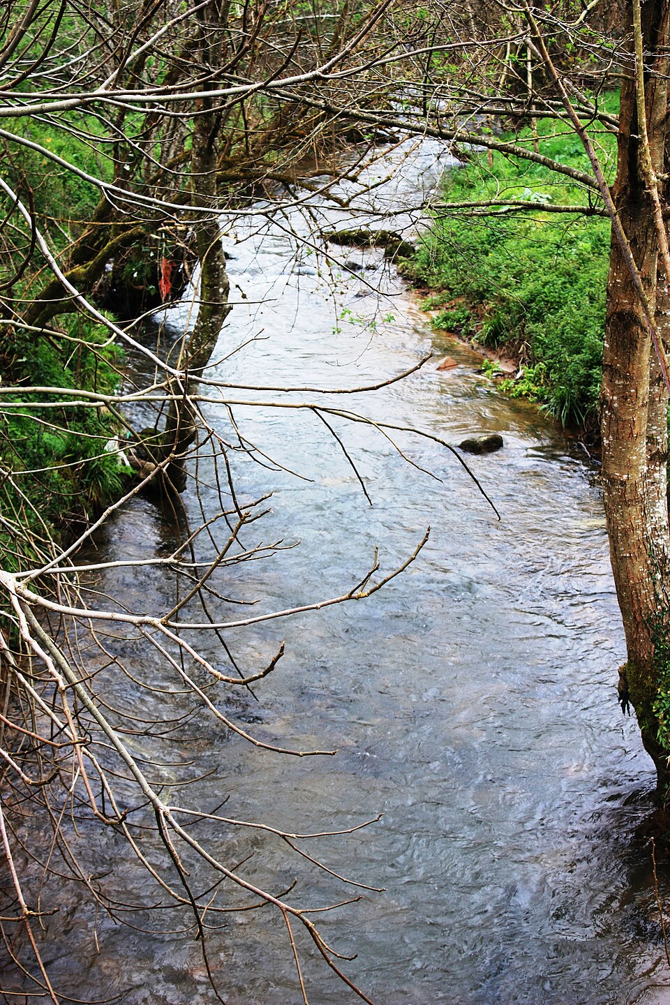 Foto 4 — Cabranes, Asturias (33009)