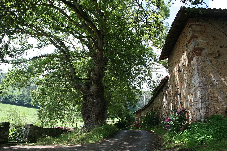 Foto 3 — Candamo, Asturias (33010)