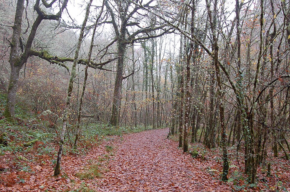 Foto 5 — Ibias, Asturias (33028)