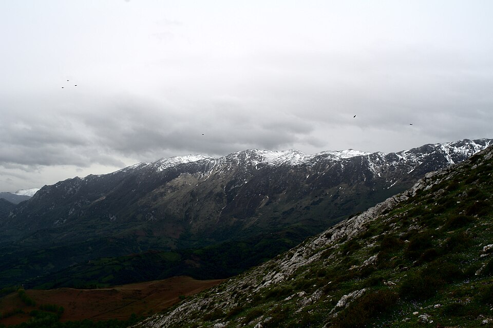 Foto 3 — Morcín, Asturias (33038)