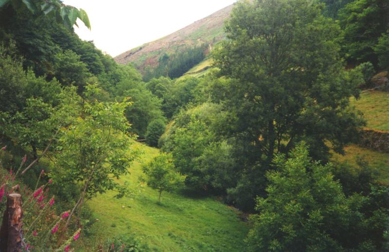 Vista de Taramundi, Asturias (33071)