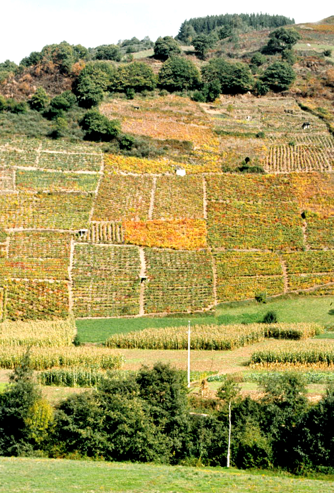 Foto 3 — Vegadeo, Asturias (33074)