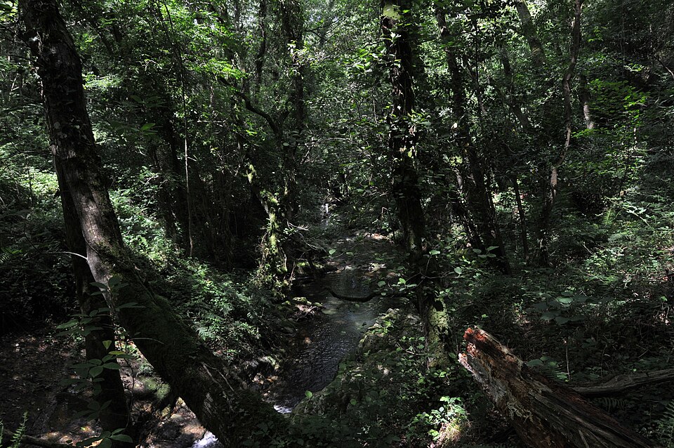 Foto 2 — Villayón, Asturias (33077)