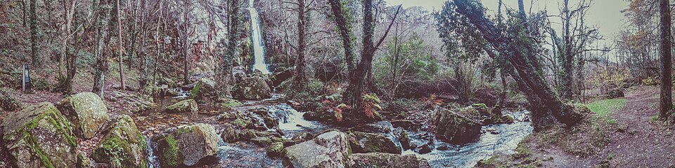 Foto 4 — Villayón, Asturias (33077)