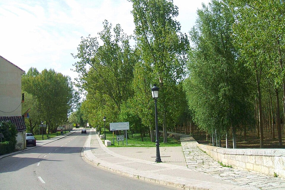 Foto 3 — Carrión de los Condes, Palencia (34120)