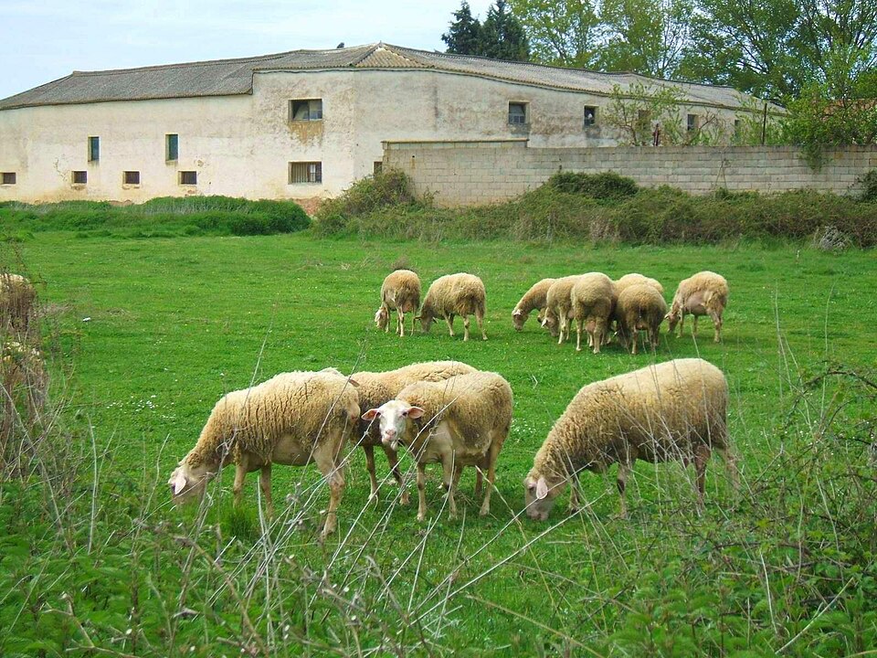 Foto 4 — Carrión de los Condes, Palencia (34120)