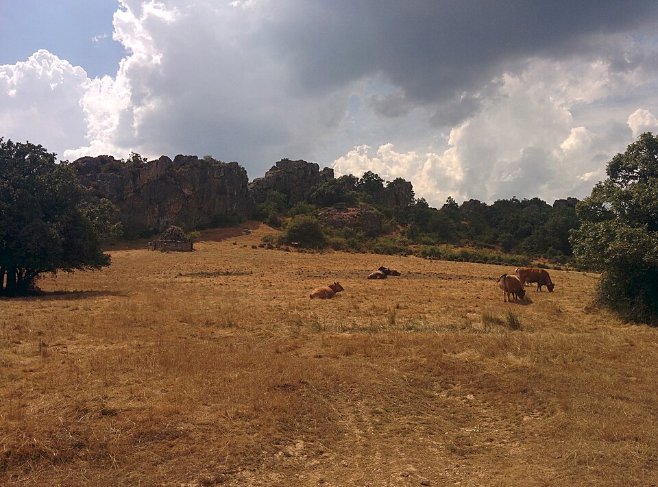 Foto 5 — Cervera de Pisuerga, Palencia (34840)