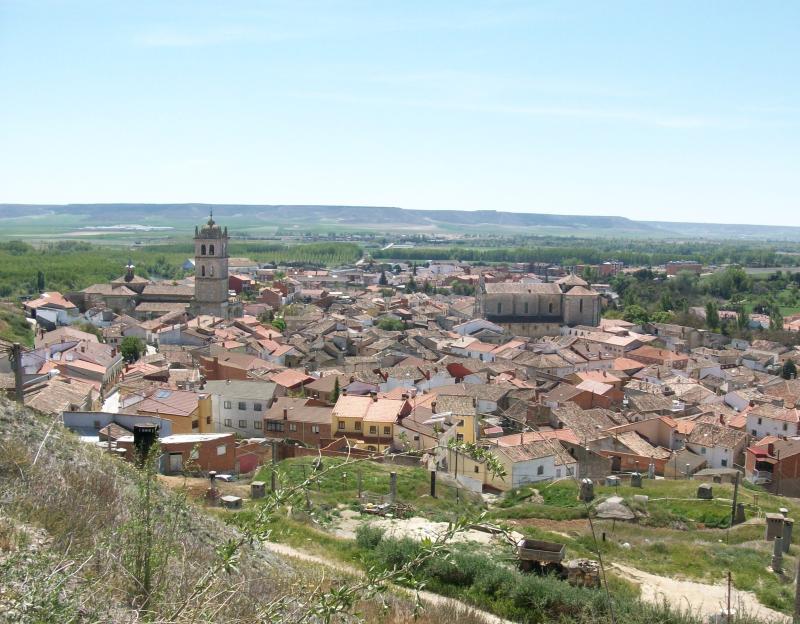 Vista de Dueñas, Palencia (34210)