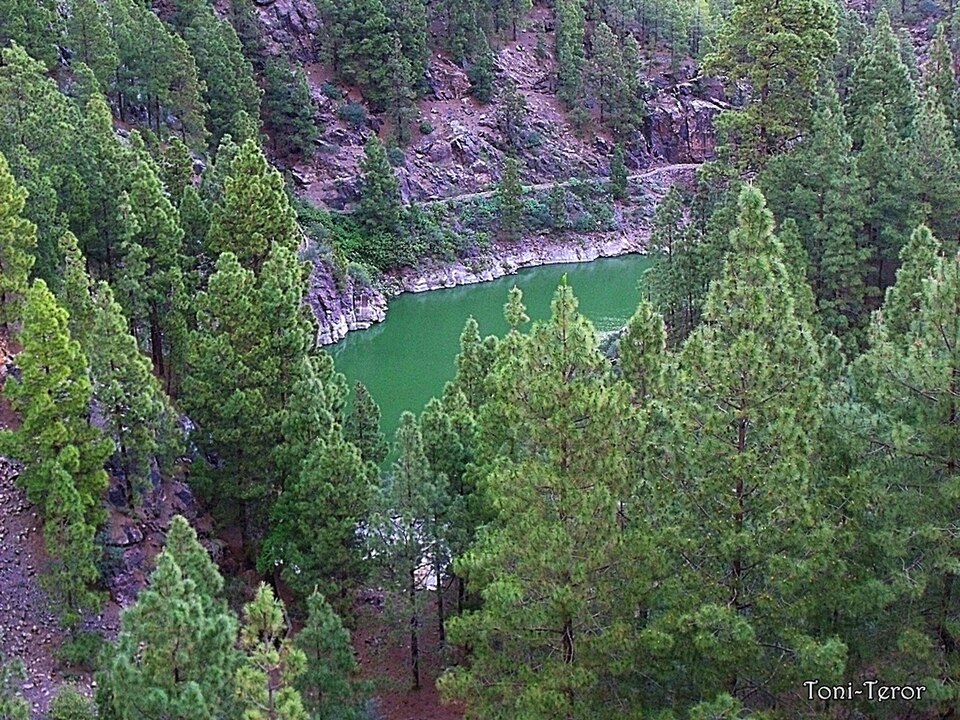 Foto 4 — Artenara, Las Palmas (35350)