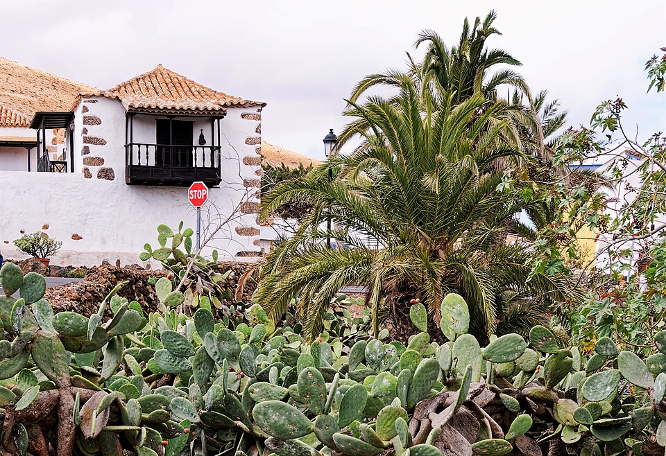 Foto 2 — Pájara, Las Palmas (35628)
