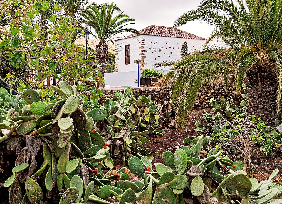 Foto 3 — Pájara, Las Palmas (35628)