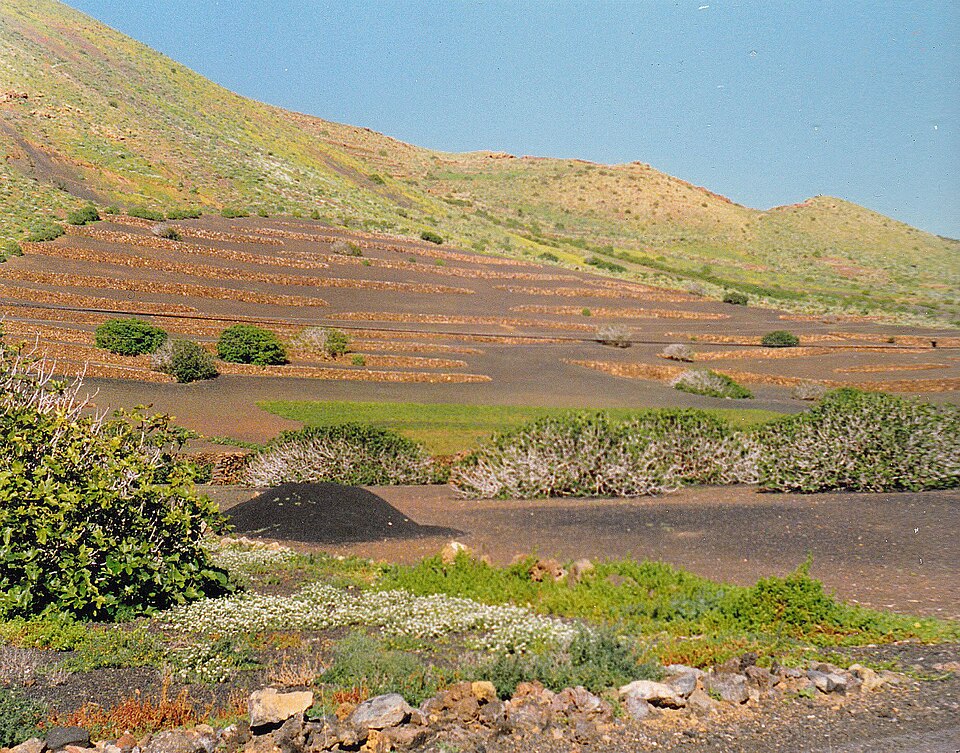 Foto 2 — Tías, Las Palmas (35572)