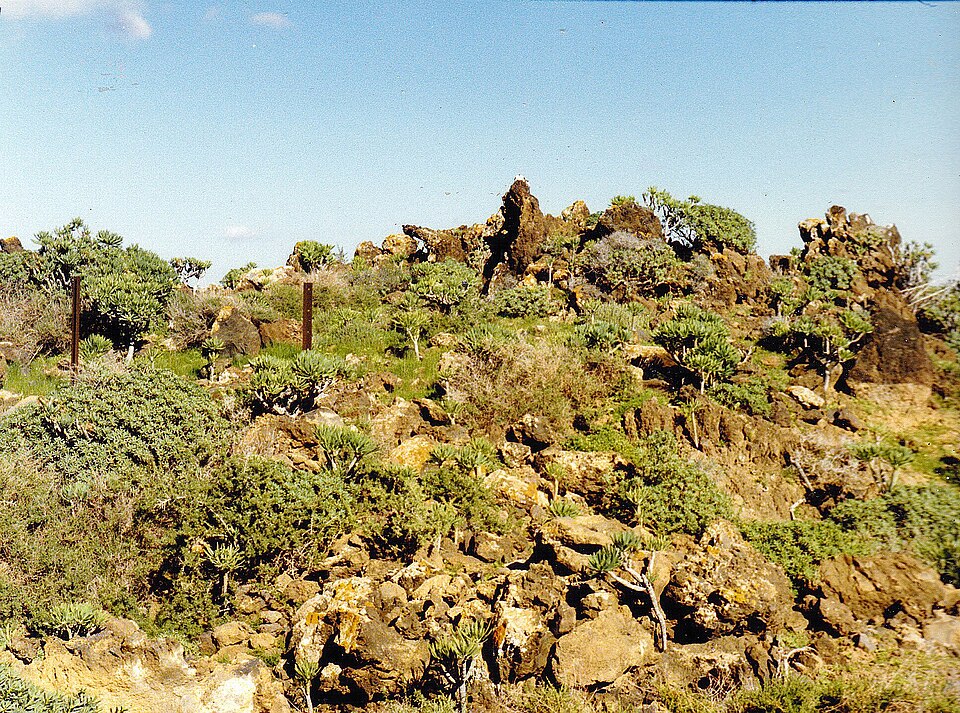 Foto 3 — Tías, Las Palmas (35572)