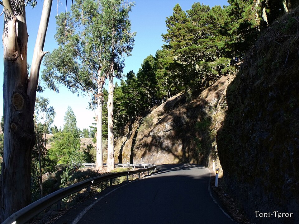 Foto 2 — Valleseco, Las Palmas (35340)