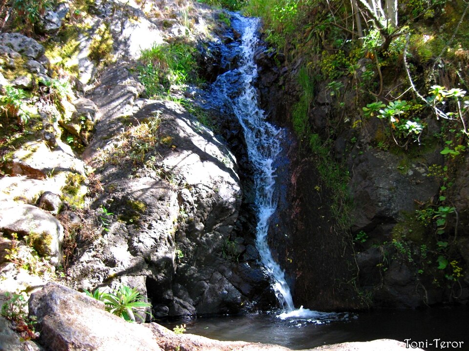 Foto 2 — Vega de San Mateo, Las Palmas (35320)