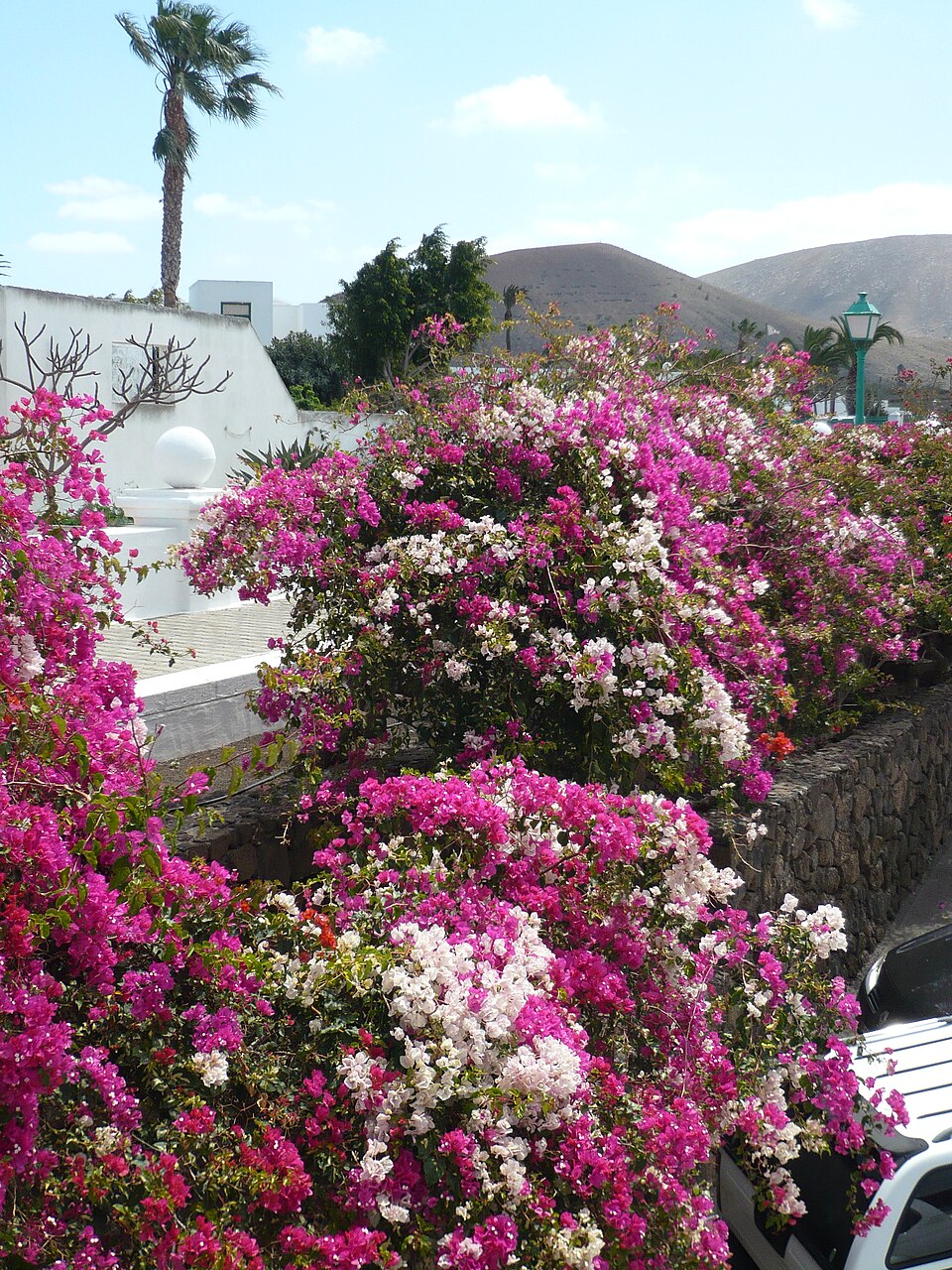 Foto 3 — Yaiza, Las Palmas (35570)