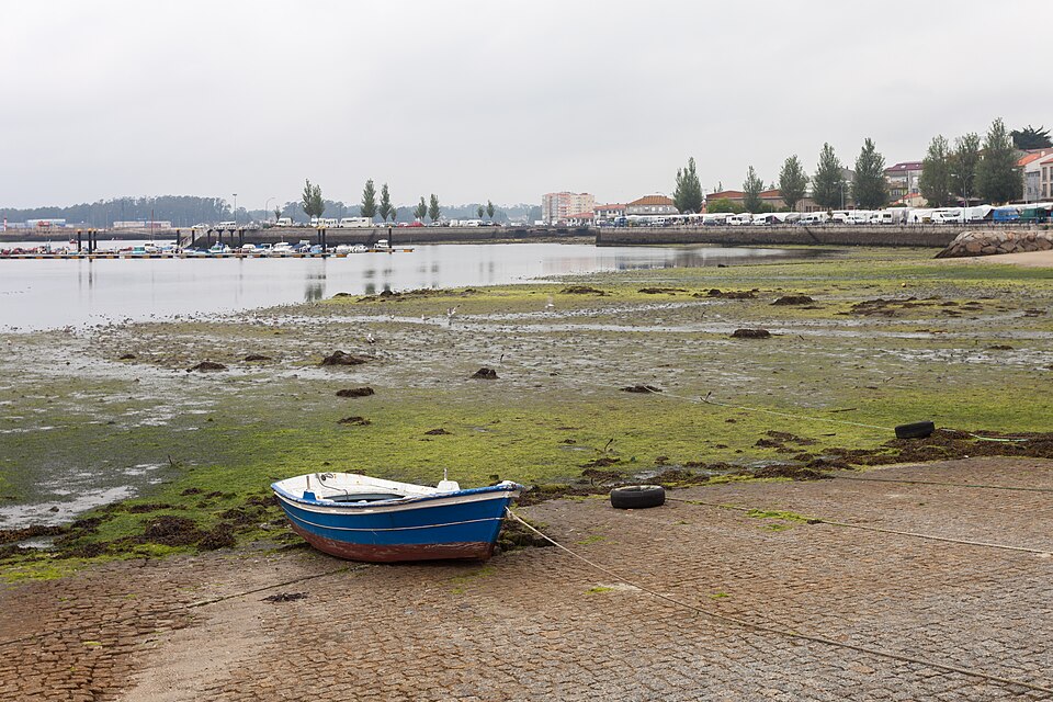 Foto 5 — Cambados, Pontevedra (36006)