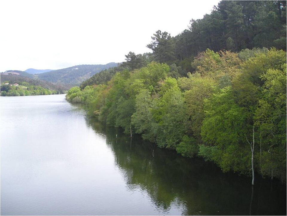 Foto 2 — Crecente, Pontevedra (36014)