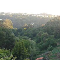 Foto 3 — Gondomar, Pontevedra (36021)