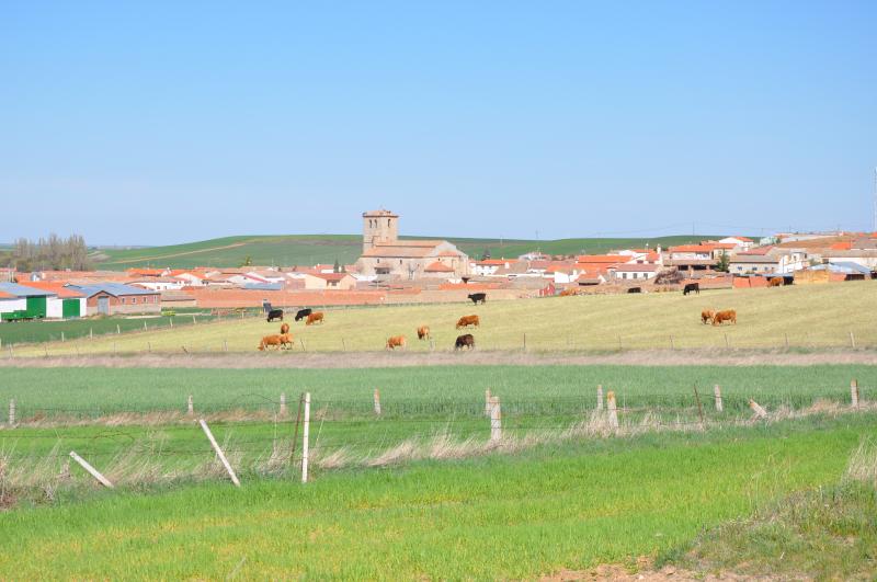 Vista de Mancera de Abajo, Salamanca (37315)