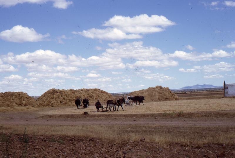 Vista de Martín de Yeltes, Salamanca (37494)