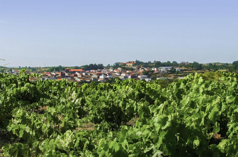 Vista de Masueco, Salamanca (37251)