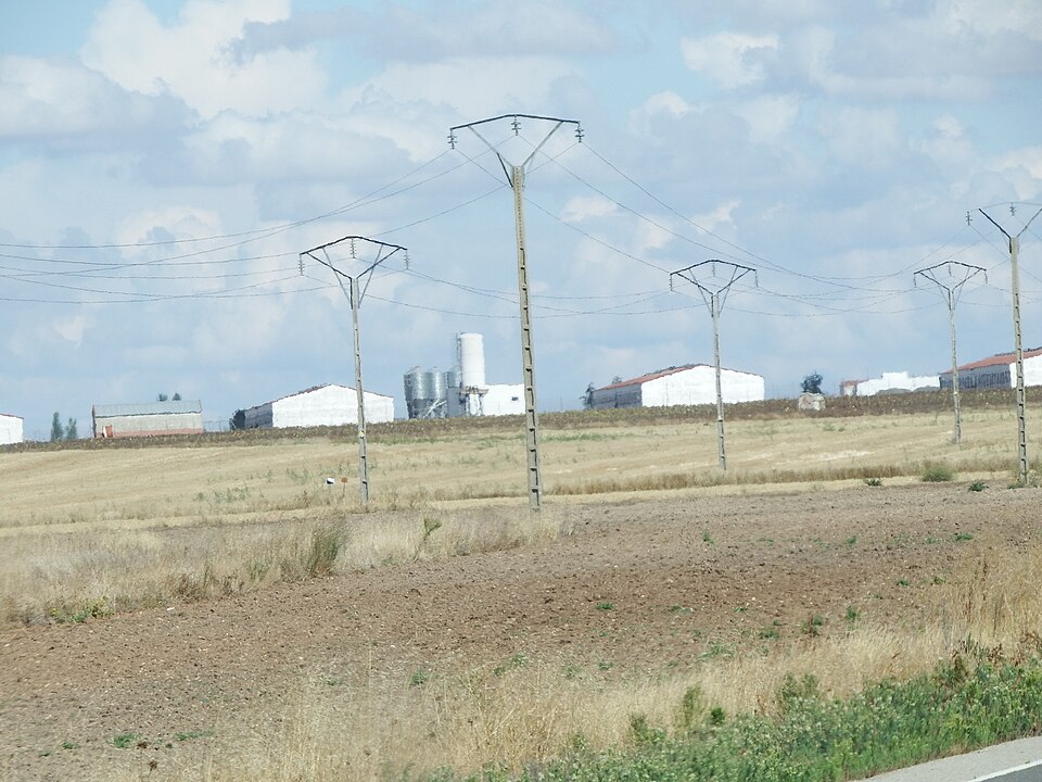 Foto 2 — Peñaranda de Bracamonte, Salamanca (37300)