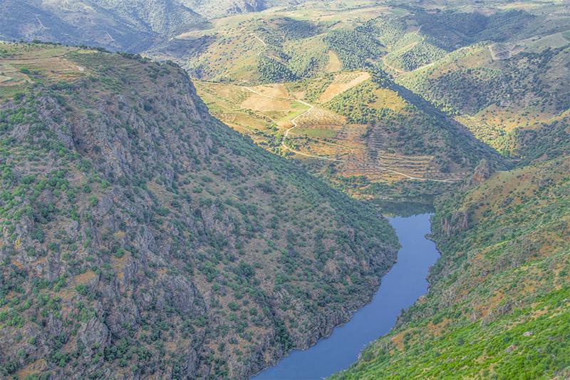 Vista de Pereña de la Ribera, Salamanca (37175)