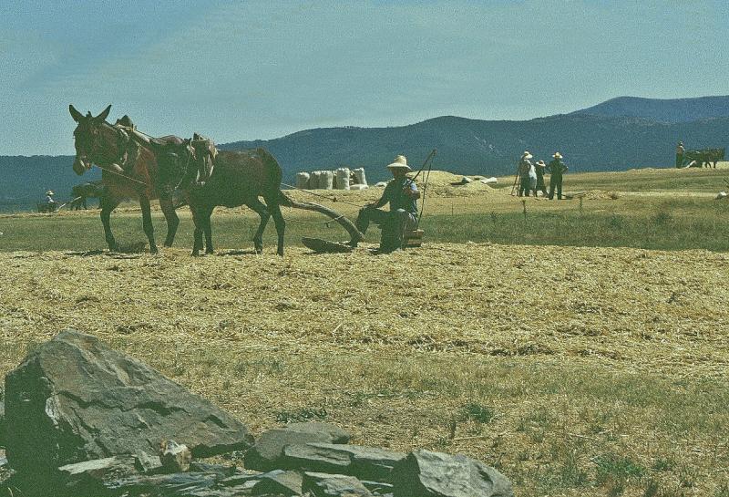 Vista de Serradilla del Llano, Salamanca (37530)