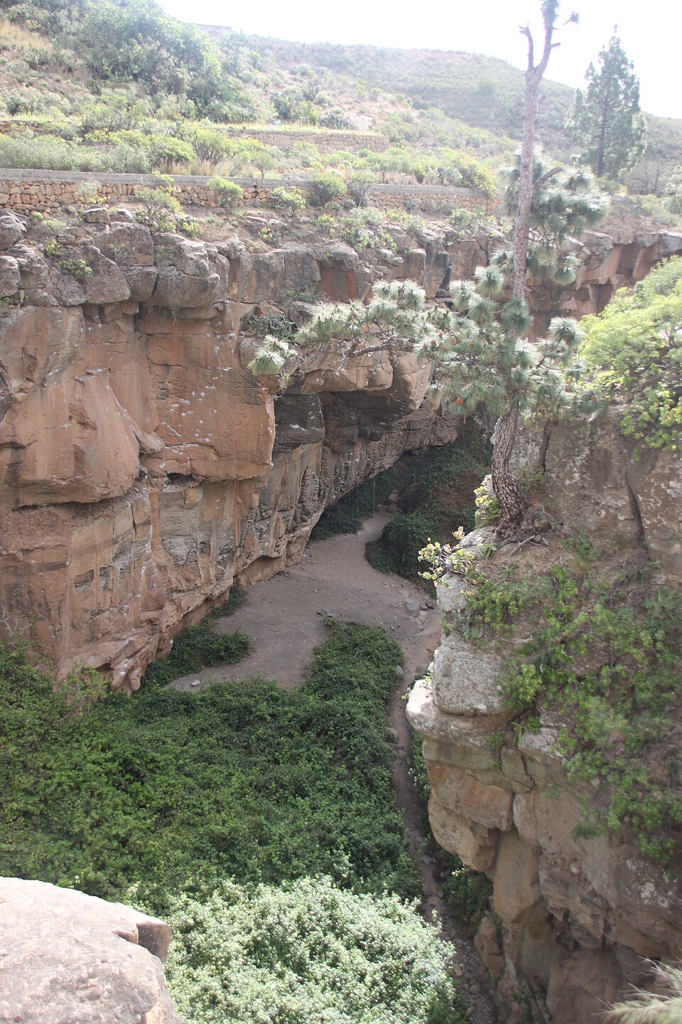 Foto 5 — Arico, Santa Cruz de Tenerife (38580)