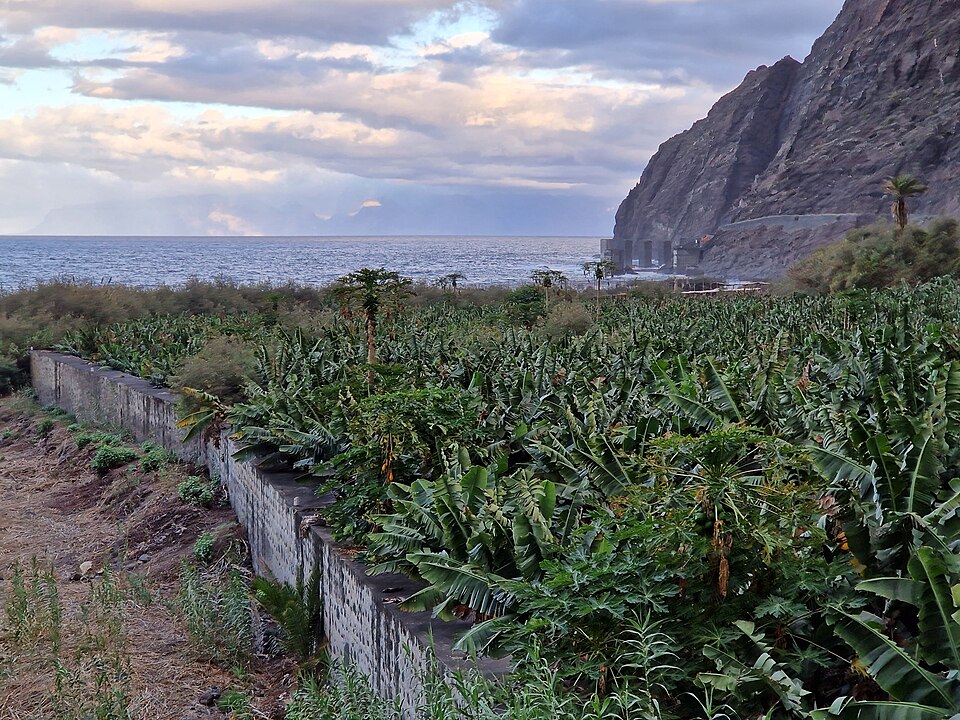 Foto 4 — Hermigua, Santa Cruz de Tenerife (38820)