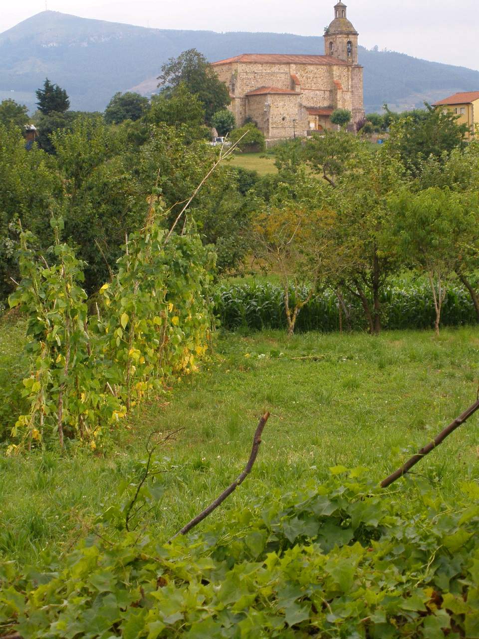 Foto 3 — Colindres, Cantabria (39023)