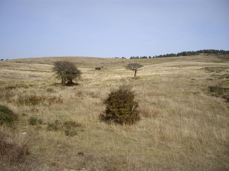 Vista de Campoo de Enmedio, Cantabria (39027)