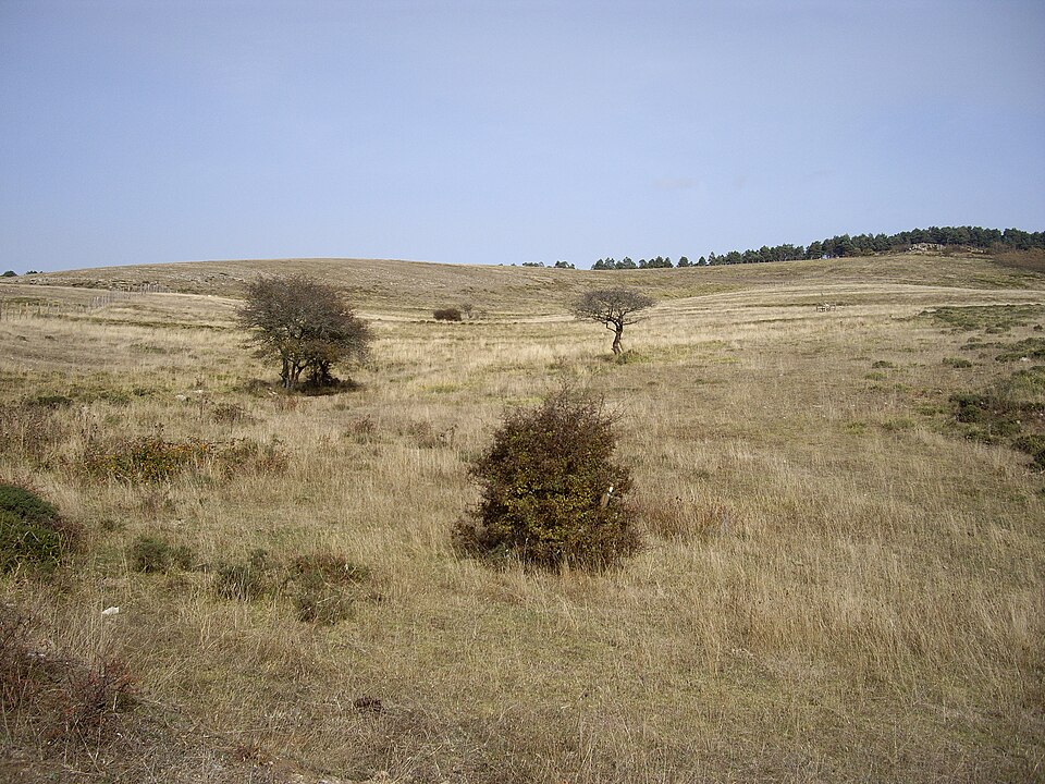 Foto 2 — Campoo de Enmedio, Cantabria (39027)