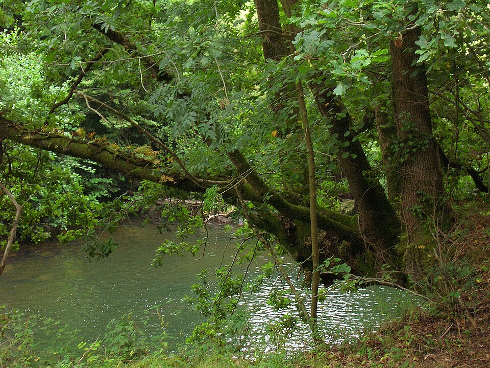 Foto 2 — Guriezo, Cantabria (39030)