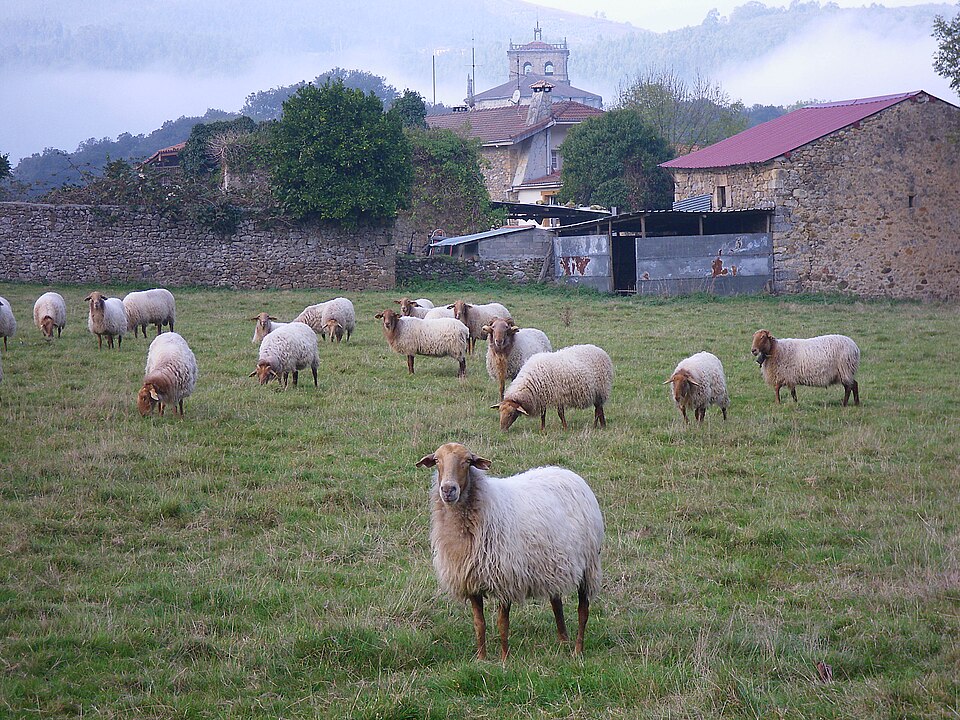 Foto 3 — Guriezo, Cantabria (39030)