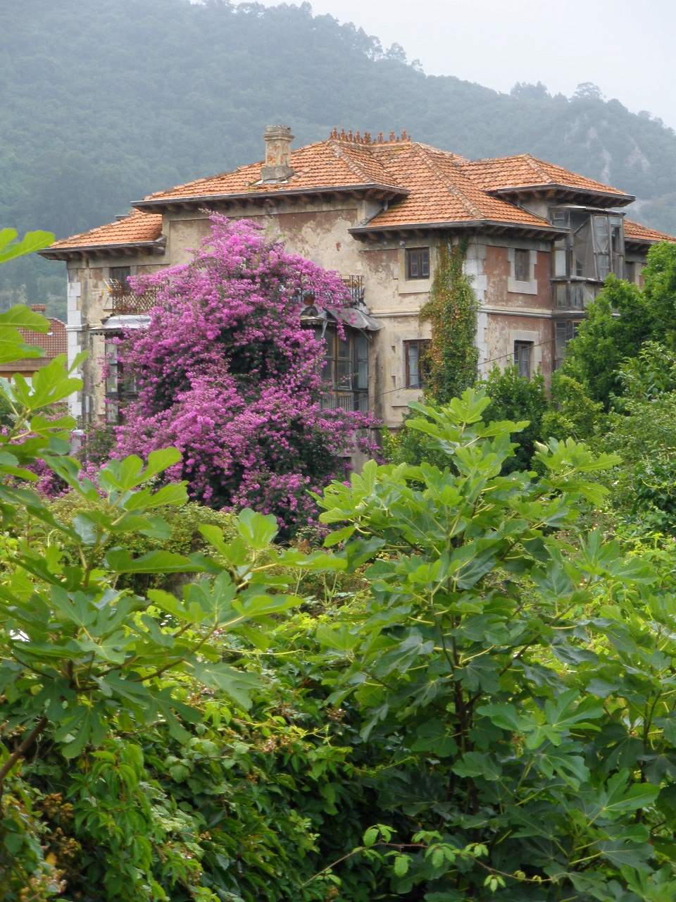 Foto 5 — Limpias, Cantabria (39038)