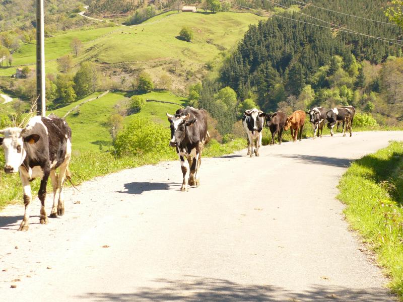 Vista de Luena, Cantabria (39039)