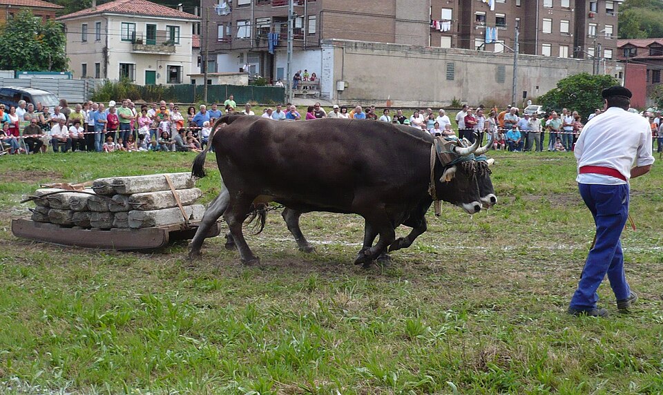 Foto 2 — Reocín, Cantabria (39060)