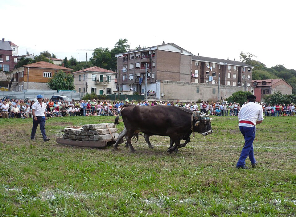 Foto 3 — Reocín, Cantabria (39060)